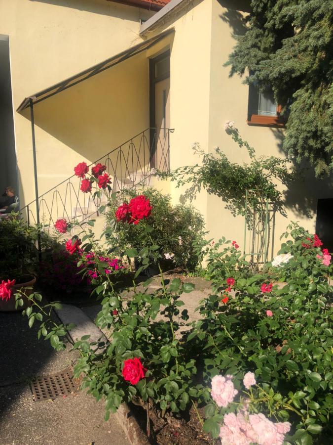 Das Kleine Haus Breitenbrunn am Neusiedler See Esterno foto