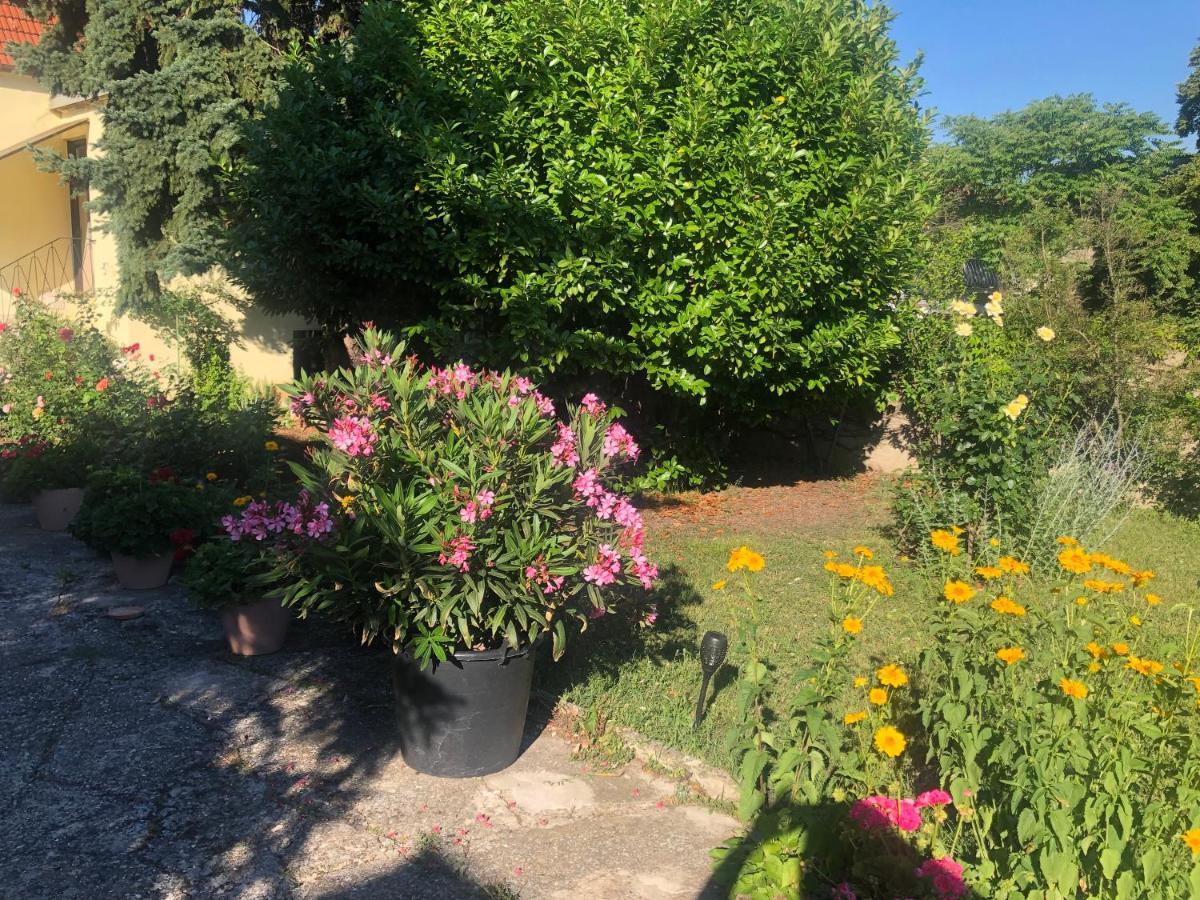 Das Kleine Haus Breitenbrunn am Neusiedler See Esterno foto