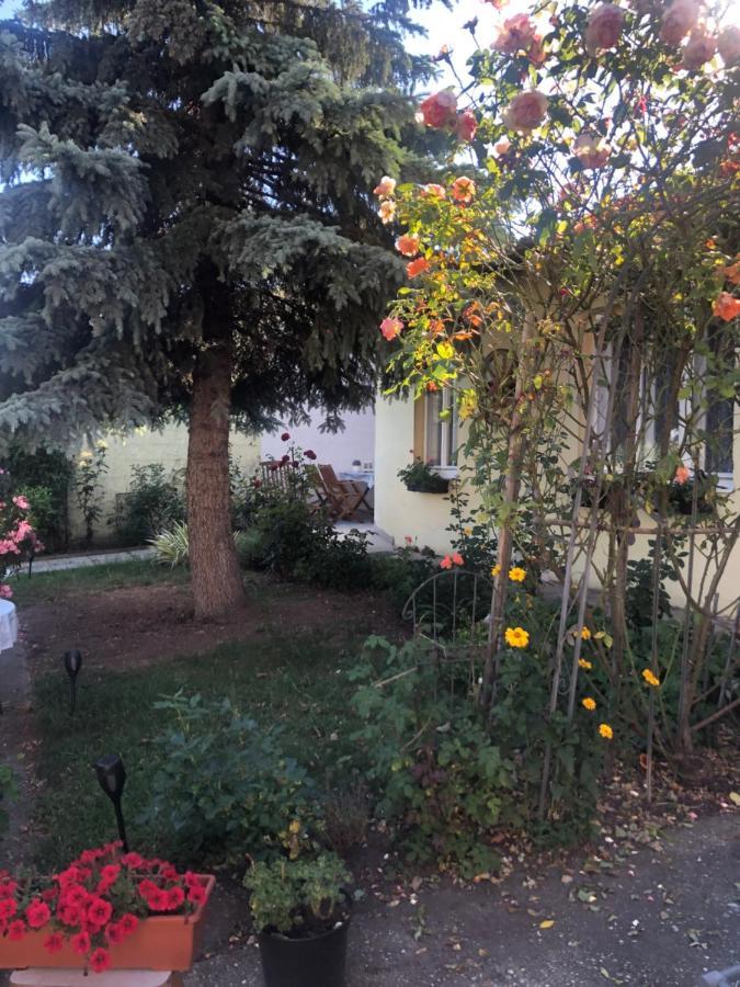 Das Kleine Haus Breitenbrunn am Neusiedler See Esterno foto