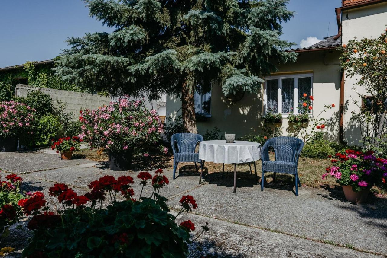 Das Kleine Haus Breitenbrunn am Neusiedler See Esterno foto