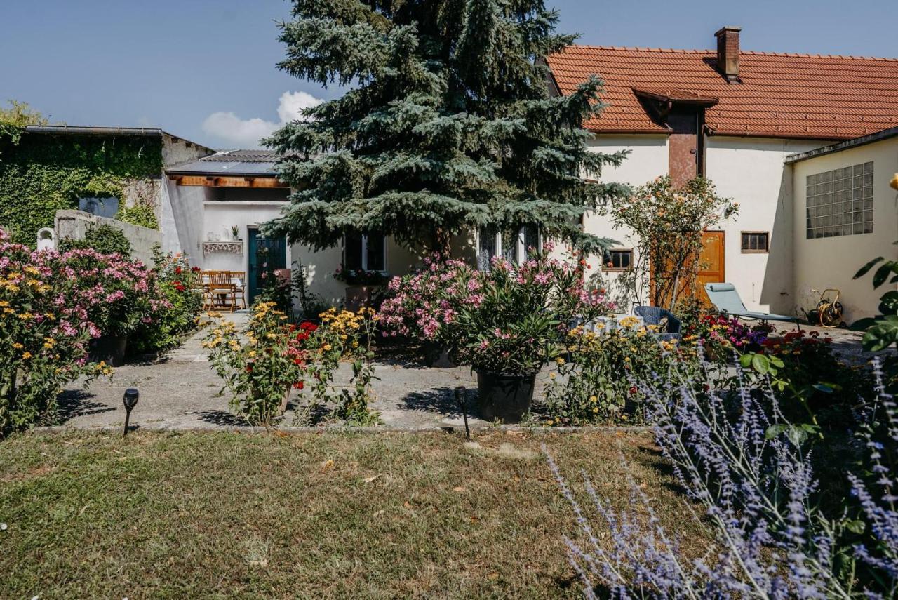 Das Kleine Haus Breitenbrunn am Neusiedler See Esterno foto